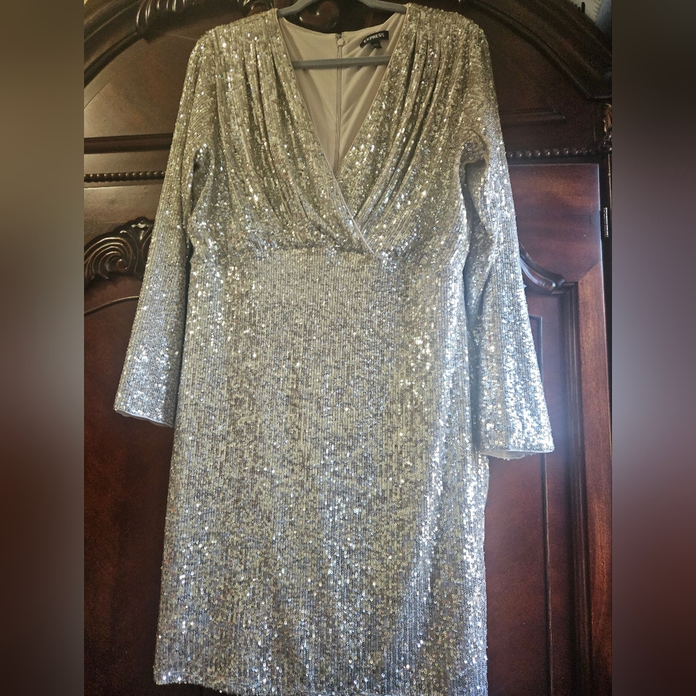 Express Women's Long Sleeve Silver Sequin Cocktail Party Dress. Size L